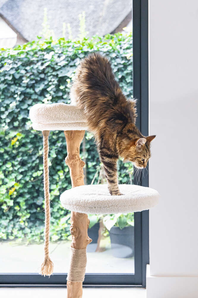 Designed by Lotte Kratzbaum Vilja